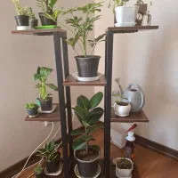 استند گیاه و کتابخانه