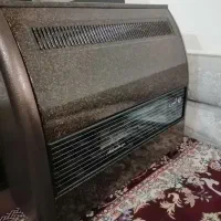 بخاری ادنیس بزرگ