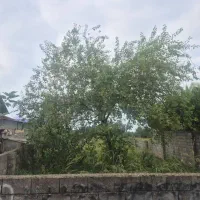 زمین چهار دیواری بلوار ورزش نشتارود قیمت استثنایی|فروش زمین و ملک کلنگی|نشتارود, |دیوار