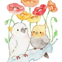 پرنده ای خانگی در محدوده چهار راه آزادگان پیدا شده