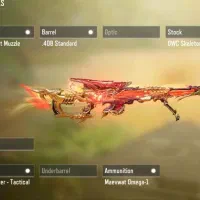 اکانت رایگان