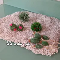 کاکتوسهای خمیری زیبا|گل مصنوعی|تهران, اختیاریه|دیوار