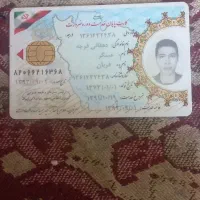 گم شدها
