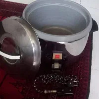 پلوپز ناسیونال ژاپن