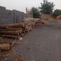 استخدام استاد کار اره فلکه در چوب بری