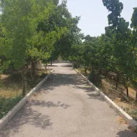 کارگر باغ وارد به باغبانی|استخدام صنعتی، فنی، مهندسی|تهران, اختیاریه|دیوار