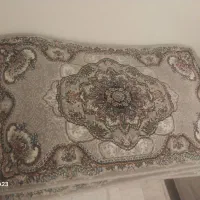 پادری نو