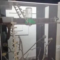 بوفه مخصوص پرندگان