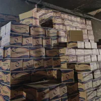 پخش فیلترجات فدک