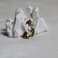 فروش انواع پیرسینگ|بدلیجات|تبریز, |دیوار