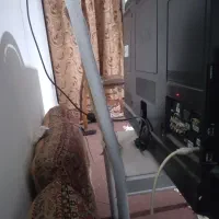 تلویزیون ال جی پلاسما ۴۳|تلویزیون و پروژکتور|مشهد, عامل|دیوار