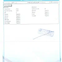 برنامه نویس