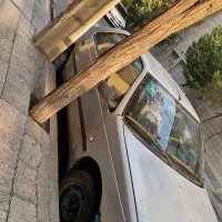 پژو ۴۰۵|خودرو سواری و وانت|تهران, جنت‌آباد شمالی|دیوار