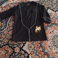 لباس|لباس|سبزوار, امیر کبیر|دیوار