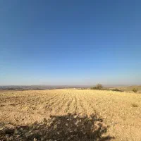 فروش زمین داری مجوز مرغ داری