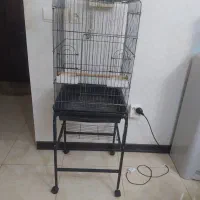 قفس کاسکو وعروس