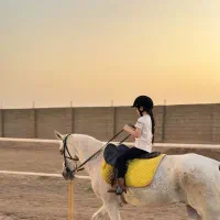 بهترین زمان یادگیری سوارکاری(مقدماتی و پیشرفته)
