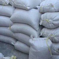 بذر گندم آبی 1500 کیلو