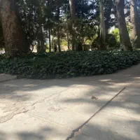 فروش-مغازه-تجاری