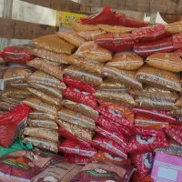 حمل انواع بار با خاور مسقف|خدمات حمل و نقل|سراوان, |دیوار