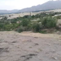 زمین کشاورزی