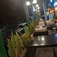 خدمات باغبانی باغچه کاری گلکاری تعویض خاک گلدون گل|خدمات باغبانی و درختکاری|تهران, صادقیه|دیوار