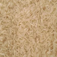 برنج فجر سوزنی|عمدهفروشی|دلند, |دیوار