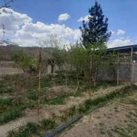 باغ-فروشی-در-بخش-خلجستان