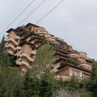 خدمات فنی و نظافت سید