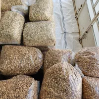 تفت و شورکاری اقلام خشکبار|خدمات پیشه و مهارت|شیراز, دارالرحمه|دیوار