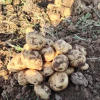 انبار دهگلان