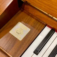 پیانو اکوستیک سمیک su|پیانو، کیبورد، آکاردئون|تهران, زعفرانیه|دیوار