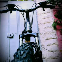 دوچرخه رد فوکس تنه بلند