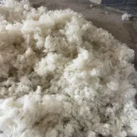 الیاف|رختخواب، بالش، پتو|دلیجان, |دیوار