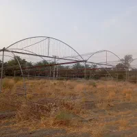 اجاره-گلخونه