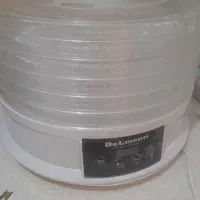 میوه خشک کن دلمونتی