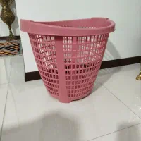 سبد