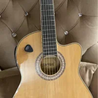 گیتار حرفه ای کلاریس