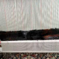 دار قالی نیمه بافته شده طرح دختر سرخ پوست +وسایل|تابلو فرش|تهران, کیانشهر|دیوار