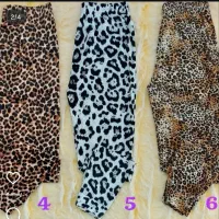 شلوار پلنگی|لباس|رودسر, |دیوار