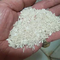 برنج طارم هاشمی باپخت بسیارعالی ونرم
