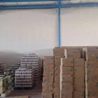 راننده پایه ۲ و کارگر ساده