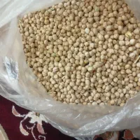 نخود|خوردنی و آشامیدنی|نیشابور, شهید بهشتی|دیوار