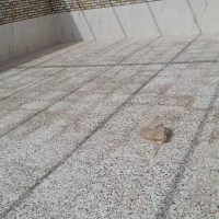 استاد کار اجر نما و کلیه کارهای ساختمانی|خدمات پیشه و مهارت|شوشتر, |دیوار