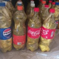 ترشی بیلهر تازه مال امسال هست بطری ۳۰۰