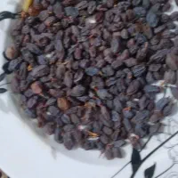 فروش کشمش سبز و کشمش آفتابی|خوردنی و آشامیدنی|بوانات, |دیوار