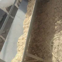 سلام گوسفندهای شما را نقدن خریدارم|حیوانات مزرعه|ریگان, |دیوار