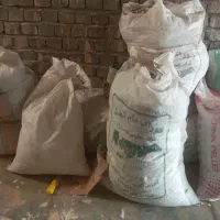 کود کبوتر