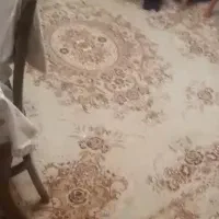 فرش در حد نو ۹متری