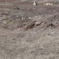 زمین-کشاورزی